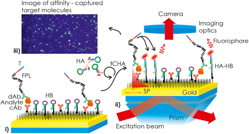 Chytrá DNA a zesílená fluorescence: cesta k přesnější detekci biomarkerů
